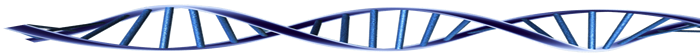 dna-2