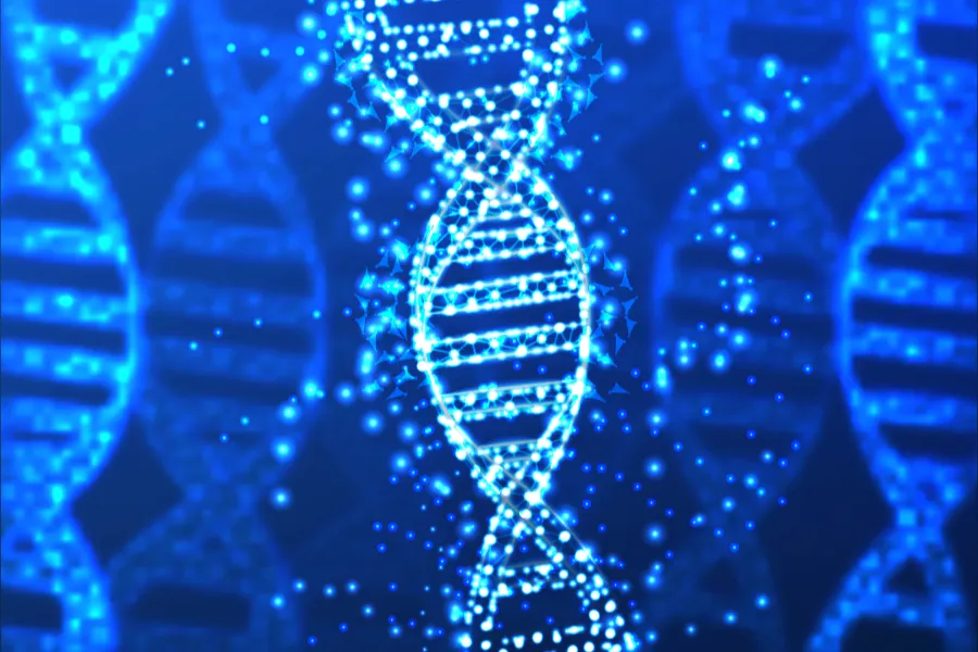 dna