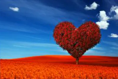 heart tree