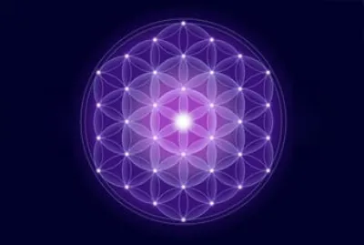 purple fractal