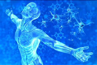 transform dna