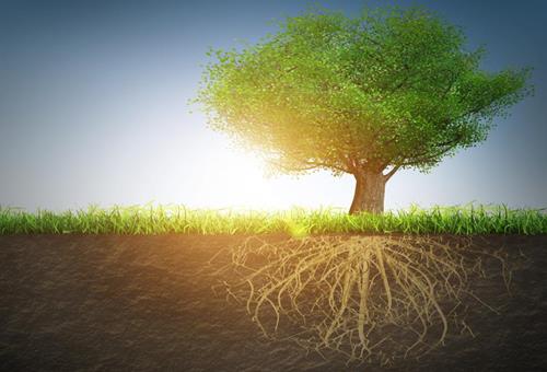 v1 dreamstime s 43513121 500x340
